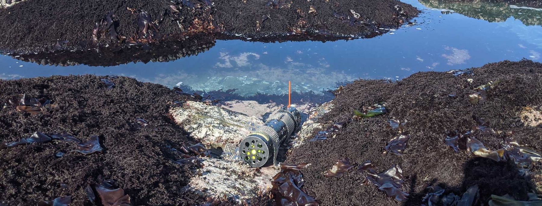 Photo of intertidal pH sensor deployed at Bodega Bay, California