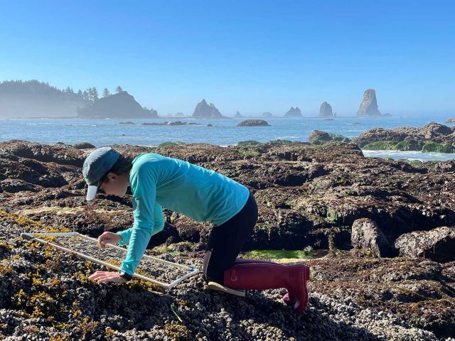 Amelia Ritger in intertidal