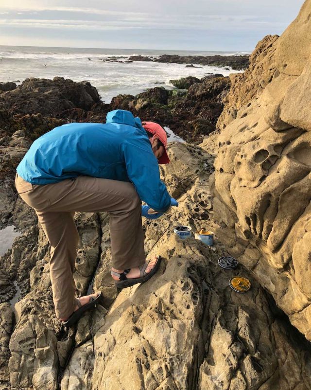 Sam Bogan collecting Tigriopus
