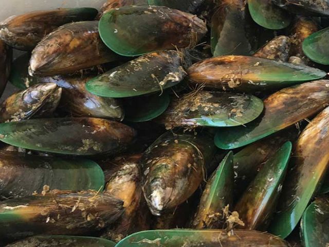 Aquaculture and Fisheries