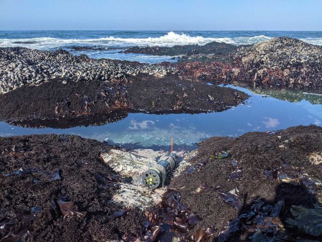 Ocean Acidification (OA)