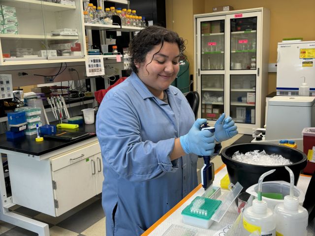 Ivanna analyzing purple sea urchin gonad samples.